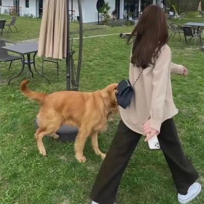 泽西女孩